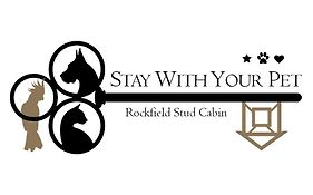 Stay With Your Pet