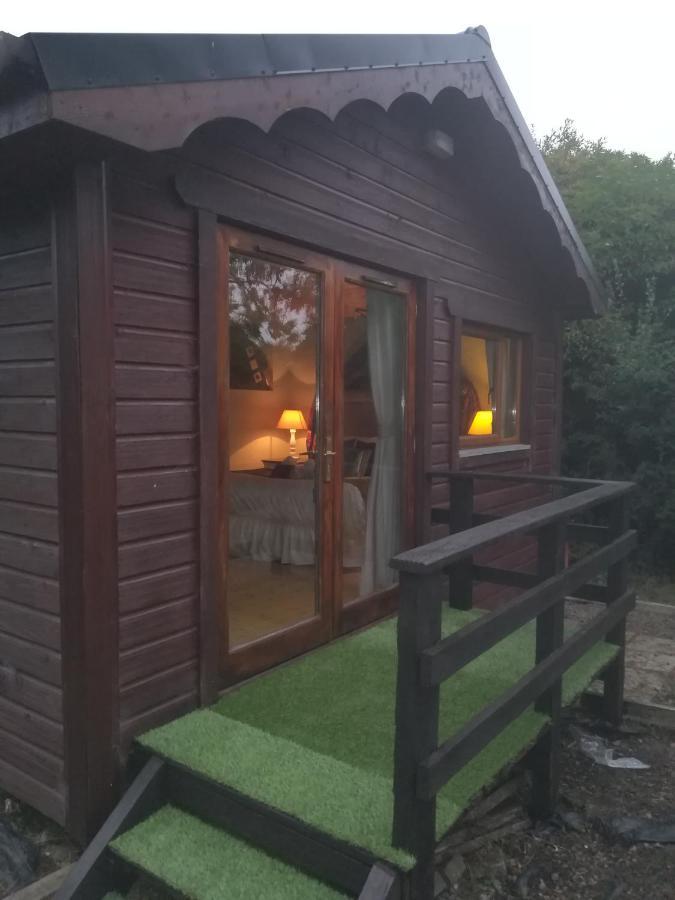 Stay With Your Pet Killarney Exterior photo