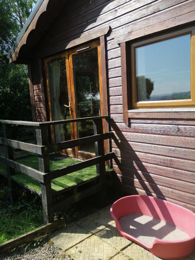 Stay With Your Pet Killarney Exterior photo